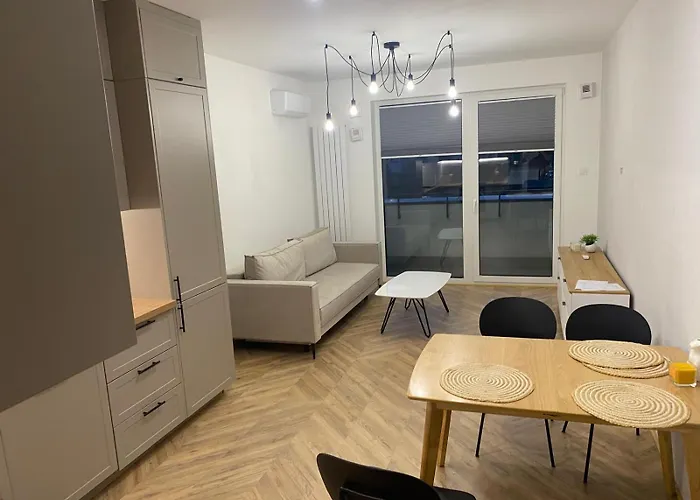 Stylish, Modern Apartment Warsaw Near Airport